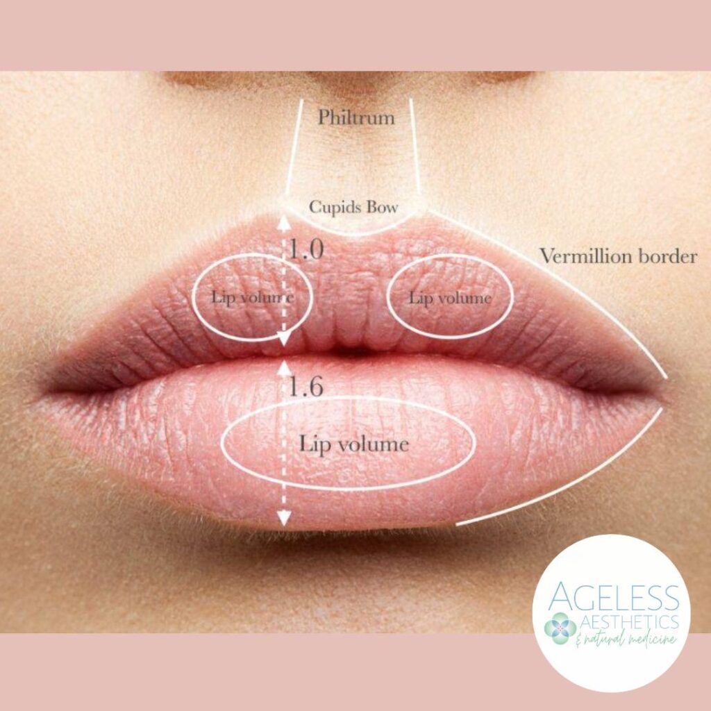 Lip Filler After Care Ageless Aesthetics & Natural Medicine